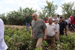 القليوبية تحصد "الذهب الأبيض".. عطية: القطن المصري يعود لمكانته العالمية