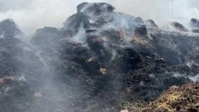 إخماد حريق داخل مزرعة دواجن بقرية جمجرة ببنها دون إصابات بشرية إخماد حريق داخل مزرعة دواجن بقرية جمجرة ببنها دون إصابات بشرية