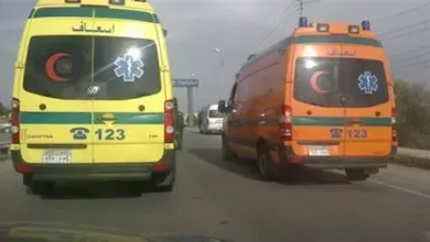 إصابة 6 أشخاص في مشاجرة بين أهالي قرية أجهور بطوخ إصابة 6 أشخاص في مشاجرة بين أهالي قرية أجهور بطوخ