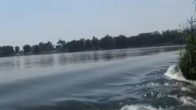 مدير قناطر الدلتا: ارتفاع منسوب شلالات القناطر الخيرية طبيعي ولا يدعو للقلق مدير قناطر الدلتا: ارتفاع منسوب شلالات القناطر الخيرية طبيعي ولا يدعو للقلق