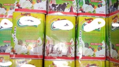 ضبط 600 كجم جبن غير صالح للاستهلاك الآدمي بالخصوص خلال حملة موسعة للصحة بالقليوبية ضبط 600 كجم جبن غير صالح للاستهلاك الآدمي بالخصوص خلال حملة موسعة للصحة بالقليوبية