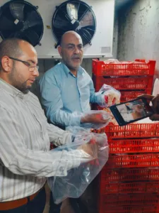 ضبط 4 أطنان كبدة وهياكل دواجن فاسدة في حملة مكبرة بالخصوص ضمن جهود القليوبية لحماية المستهلك