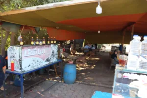 محافظ القليوبية يقود حملة موسعة لإعادة الانضباط وإزالة الإشغالات أمام موقف سيارات بنها العمومي