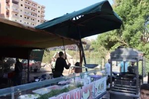 محافظ القليوبية يقود حملة موسعة لإعادة الانضباط وإزالة الإشغالات أمام موقف سيارات بنها العمومي