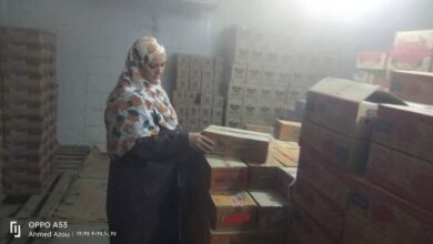 خيوط الفساد الغذائي في قبضة التموين.. تفاصيل ضبط مخازن وثلاجات غير مرخصة بالخانكة خيوط الفساد الغذائي في قبضة التموين.. تفاصيل ضبط مخازن وثلاجات غير مرخصة بالخانكة
