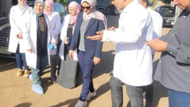 بيطري القليوبية يطلق الحملة القومية الثالثة لتحصين الماشية ضد الحمى القلاعية والوادي المتصدع بيطري القليوبية يطلق الحملة القومية الثالثة لتحصين الماشية ضد الحمى القلاعية والوادي المتصدع