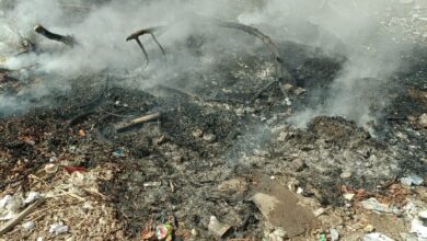 الحماية المدنية تسيطر على حريق بمخلفات الأشجار داخل مجمع معاهد عبد الحليم محمود بشبرا الخيمة دون خسائر الحماية المدنية تسيطر على حريق بمخلفات الأشجار داخل مجمع معاهد عبد الحليم محمود بشبرا الخيمة دون خسائر