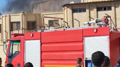 السيطرة على حريق داخل معمل تفريخ بقرية ميت العطار في بنها دون وقوع إصابات
