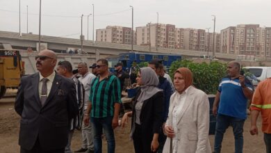 القليوبية تشن حملة مكبرة لمواجهة عربات الكارو في شوارع شبرا الخيمة واستعادة المظهر الحضاري القليوبية تشن حملة مكبرة لمواجهة عربات الكارو في شوارع شبرا الخيمة واستعادة المظهر الحضاري