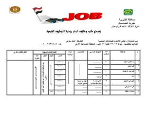 القليوبية تُطلق 1120 فرصة عمل جديدة لدعم الشباب ومواجهة البطالة