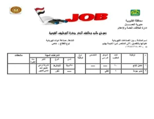 القليوبية تُطلق 1120 فرصة عمل جديدة لدعم الشباب ومواجهة البطالة