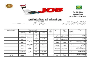 القليوبية تُطلق 1120 فرصة عمل جديدة لدعم الشباب ومواجهة البطالة