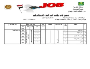 القليوبية تُطلق 1120 فرصة عمل جديدة لدعم الشباب ومواجهة البطالة