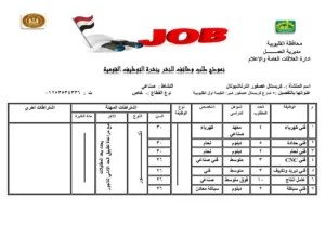 القليوبية تُطلق 1120 فرصة عمل جديدة لدعم الشباب ومواجهة البطالة