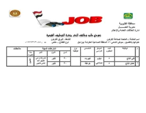 القليوبية تُطلق 1120 فرصة عمل جديدة لدعم الشباب ومواجهة البطالة