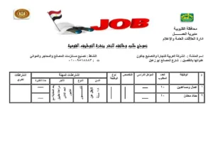 القليوبية تُطلق 1120 فرصة عمل جديدة لدعم الشباب ومواجهة البطالة