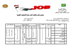 القليوبية تُطلق 1120 فرصة عمل جديدة لدعم الشباب ومواجهة البطالة