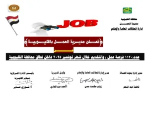 القليوبية تُطلق 1120 فرصة عمل جديدة لدعم الشباب ومواجهة البطالة