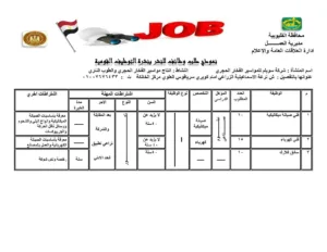 القليوبية تُطلق 1120 فرصة عمل جديدة لدعم الشباب ومواجهة البطالة