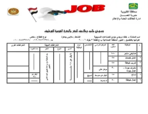 القليوبية تُطلق 1120 فرصة عمل جديدة لدعم الشباب ومواجهة البطالة