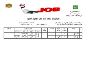 القليوبية تُطلق 1120 فرصة عمل جديدة لدعم الشباب ومواجهة البطالة