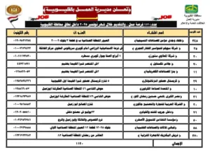 القليوبية تُطلق 1120 فرصة عمل جديدة لدعم الشباب ومواجهة البطالة