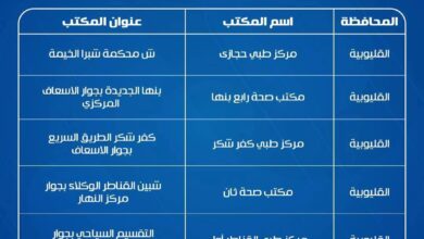 الصحة بالقليوبية تعلن عن 10 أماكن لتلقي لقاح الإنفلونزا الموسمية 2025 الصحة بالقليوبية تعلن عن 10 أماكن لتلقي لقاح الإنفلونزا الموسمية 2025