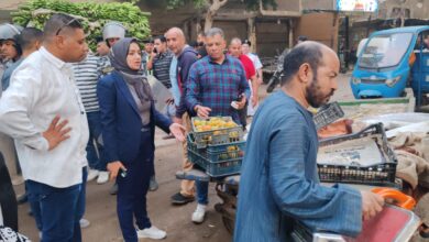 بتوجيهات المحافظ.. نائبة القليوبية تشن حملة مكبرة لإزالة الإشغالات وتحسين الشوارع بشبرا الخيمة بتوجيهات المحافظ.. نائبة القليوبية تشن حملة مكبرة لإزالة الإشغالات وتحسين الشوارع بشبرا الخيمة