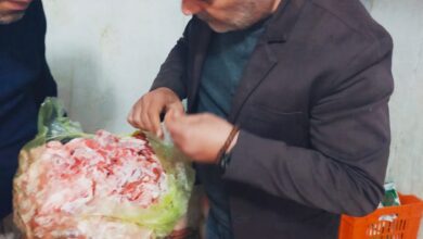 مديرية الطب البيطري بالقليوبية تضبط نصف طن لحوم وكبدة فاسدة بشبرا الخيمة