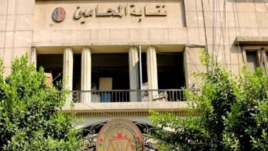إعلان الكشوف النهائية لمرشحي انتخابات نقابتي المحامين بشمال وجنوب القليوبية إعلان الكشوف النهائية لمرشحي انتخابات نقابتي المحامين بشمال وجنوب القليوبية