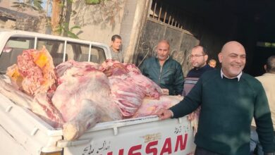ضبط 650 كجم لحوم مريضة مختومة بتزوير داخل مزرعة مخالِفة