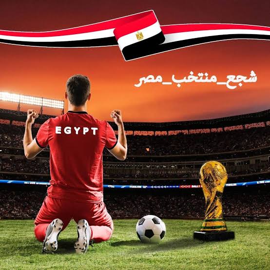شاشات عملاقة وأجواء حماسية.. مراكز شباب القليوبية تجمع الجماهير لمساندة منتخب مصر أمام زيمبابوي شاشات عملاقة وأجواء حماسية.. مراكز شباب القليوبية تجمع الجماهير لمساندة منتخب مصر أمام زيمبابوي