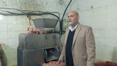 حملة تموينية تضبط 16 طن هياكل ومفروم دواجن غير صالحة بالقليوبية