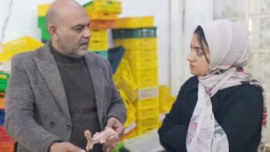 ضبط طن هياكل دواجن غير صالحة للاستهلاك الآدمي بمركز بنها
