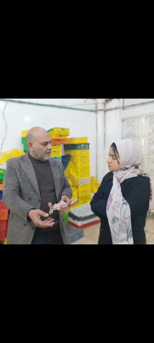 ضبط طن هياكل دواجن غير صالحة للاستهلاك الآدمي بمركز بنها ضبط طن هياكل دواجن غير صالحة للاستهلاك الآدمي بمركز بنها