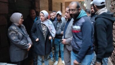 محافظ القليوبية يتابع تنفيذ مشروعات الخطة الاستثمارية ومنظومة النظافة بمدينة الخصوص محافظ القليوبية يتابع تنفيذ مشروعات الخطة الاستثمارية ومنظومة النظافة بمدينة الخصوص