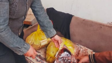 ضبط 3 أطنان لحوم ودواجن غير صالحة للاستهلاك في حملة موسعة بالقليوبية