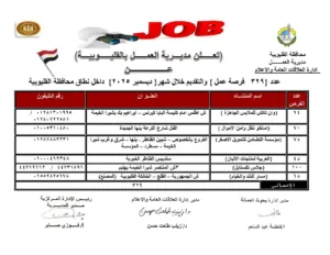 إتاحة 329 فرصة عمل جديدة بالقليوبية ضمن نشرة وزارة العمل لشهر ديسمبر