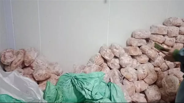 ضبط 300 كجم دجاج ولحوم مذبوحة خارج المجازر بشبين القناطر
