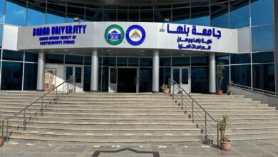 جامعة بنها ووهان تطلق ماجستير إدارة الأعمال الدولية (MIB) ... رابط التسجيل والمصروفات 