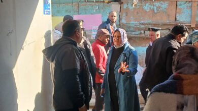 محافظ القليوبية يتابع جهود حي غرب شبرا الخيمة في رفع الإشغالات محافظ القليوبية يتابع جهود حي غرب شبرا الخيمة في رفع الإشغالات