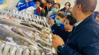 زيارة تعليمية مميزة لطلاب مجمع مدارس الشبان المسلمين إلى مزارع الفيروز السمكية ببورسعيد زيارة تعليمية مميزة لطلاب مجمع مدارس الشبان المسلمين إلى مزارع الفيروز السمكية ببورسعيد