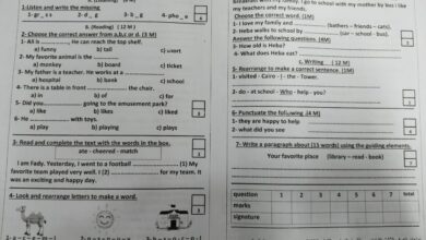 تعليم القليوبية تفتح تحقيقًا عاجلًا في واقعة تسريب مزعوم لامتحان الإنجليزي للصف الثالث الابتدائي