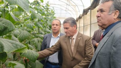 نائب رئيس جامعة بنها لشئون خدمة المجتمع وتنمية البيئة يتفقد الوحدات الإنتاجية بكلية الزراعة بمشتهر نائب رئيس جامعة بنها لشئون خدمة المجتمع وتنمية البيئة يتفقد الوحدات الإنتاجية بكلية الزراعة بمشتهر