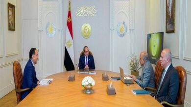مصر والسعودية تنهيان استعدادات تشغيل مشروع الربط الكهربائي بقدرة 3000 ميجاوات لتعزيز استقرار الشبكات مصر والسعودية تنهيان استعدادات تشغيل مشروع الربط الكهربائي بقدرة 3000 ميجاوات لتعزيز استقرار الشبكات