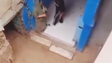 الأجهزة الأمنية تضبط شابًا لتعديه على والدته وحيازته سلاح أبيض ببنها