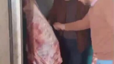 ضبط لحوم ودواجن غير صالحة للاستهلاك الآدمي خلال حملة بيطرية بشبين القناطر ضبط لحوم ودواجن غير صالحة للاستهلاك الآدمي خلال حملة بيطرية بشبين القناطر