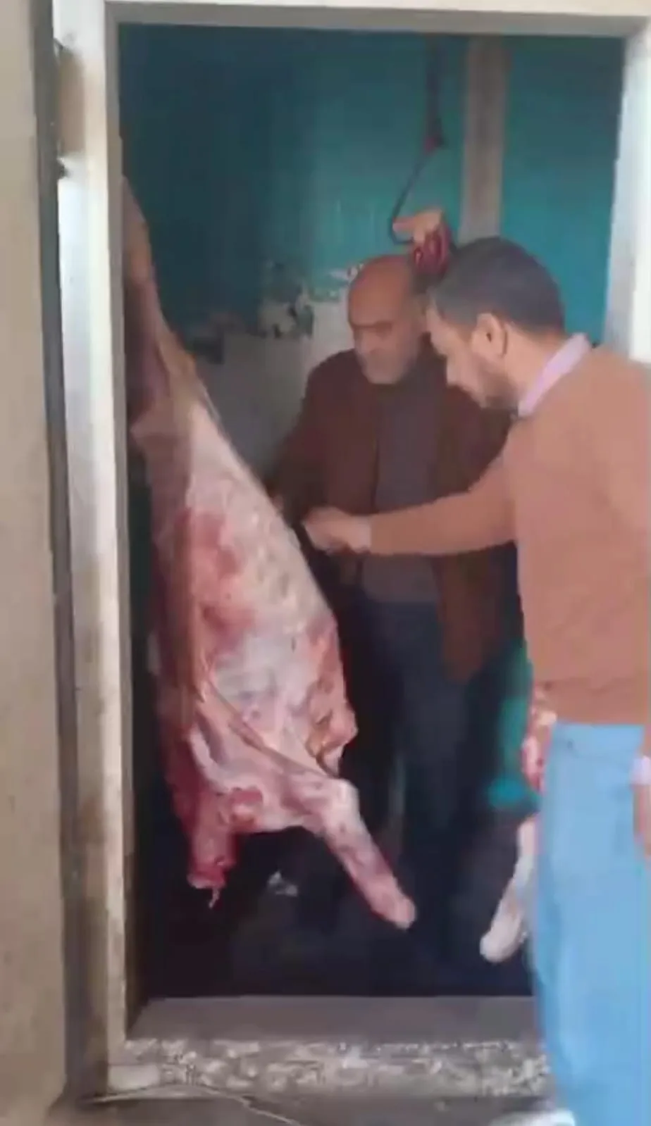ضبط لحوم ودواجن غير صالحة للاستهلاك الآدمي خلال حملة بيطرية بشبين القناطر