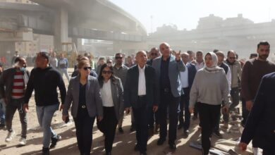 محافظا القليوبية والقاهرة يواصلان حملة تطهير المرج من العشوائيات وإقامة سور حديدي لتأمين حرم محافظا القليوبية والقاهرة يواصلان حملة تطهير المرج من العشوائيات وإقامة سور حديدي لتأمين حرم