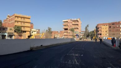 محافظ القليوبية يعلن الانتهاء من إنشاء كوبري «عبودة» بشبين القناطر محافظ القليوبية يعلن الانتهاء من إنشاء كوبري «عبودة» بشبين القناطر
